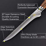 6 Inch Boning Knife- Super Sharp VG-10 Damascus Steel Boning Knife, 76 Layers High Carbon Steel & Comfortable Wooden Handle