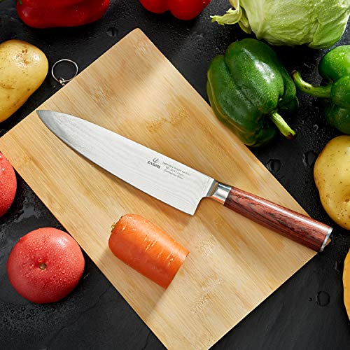Professional Kitchen 8 inch Chef Knife - 67 Layers VG-10 Damascus Steel Knife,Ultra-Sharp Cooking Knife with Ergonomic Wood Handle, Sheath & Beauty Gift Box