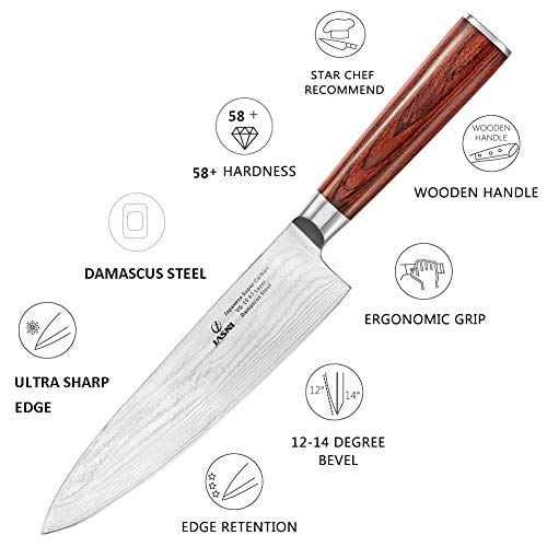 8'' Damascus Steel Super Sharp Kitchen Chef's Knife with Full Tang G10  Handle