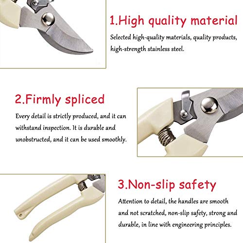 Stainless Garden Scissors (Scissors/Pruners/Secateurs/Clippers