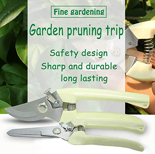2 Pack Garden Pruning Shears, Stainless Steel Garden Scissors Blades Handheld  Pruners Set, Tree Hand Clippers Pruner for Gardening 