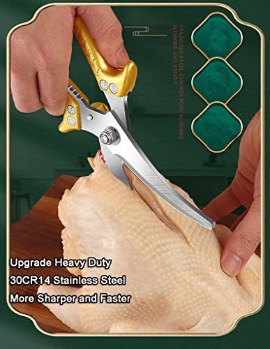 Heavy Duty Stainless Steel Pro Kitchen Scissors – Terra Powders
