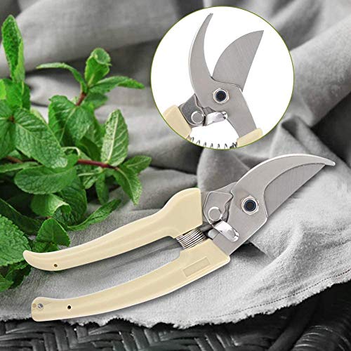 stedi Multipurpose Heavy Duty Scissors, High Carbon Stainless Steel Shears  for Household Pruning, Office,… - AliExpress