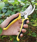 Pruning Shears Garden Scissors Patch Ergonomic Grip Lightweight Hand Garden Secateurs for Cutting Tool Stainless Steel Sharp Blade Clipper for Pruning,Trimming Green Shears with Locking Mechanism