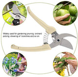 YYG Garden Scissors-2PCS Stainless Steel Pruning Shears Florist Multi-Tasking for Arranging Premium Utility Clippers Scissors,Tree Trimmers Secateurs Hand Pruners