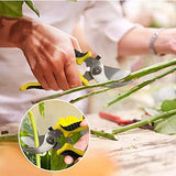 Pruning Shears Garden Scissors Patch Ergonomic Grip Lightweight Hand Garden Secateurs for Cutting Tool Stainless Steel Sharp Blade Clipper for Pruning,Trimming Green Shears with Locking Mechanism